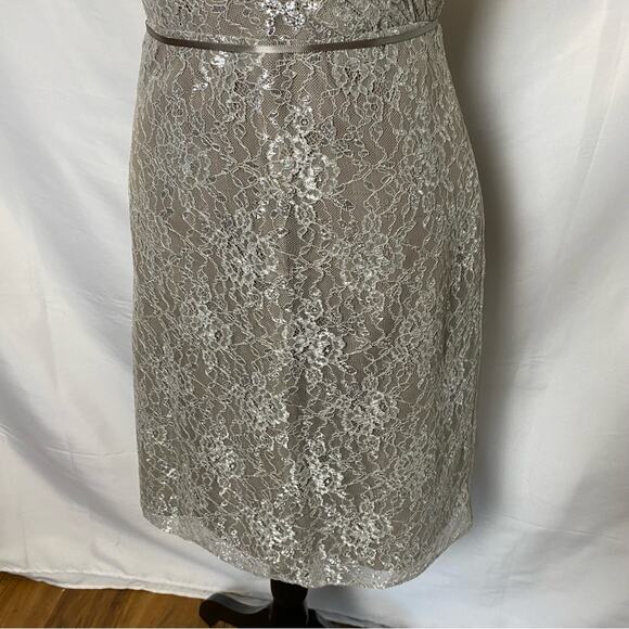 Alvina Valenta Maids Beige Silver Lace Overlay Strapless Dress Size 10 Womens - Picture 2 of 11